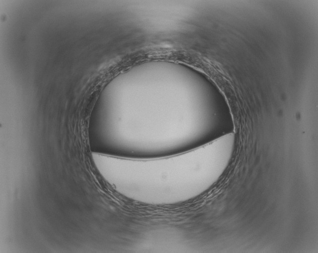 X0000064751445200602100946