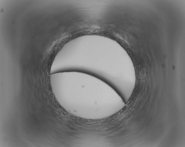 X0000064751447200602100946