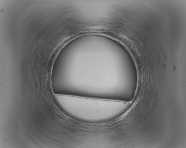 X0000064751449200602100946