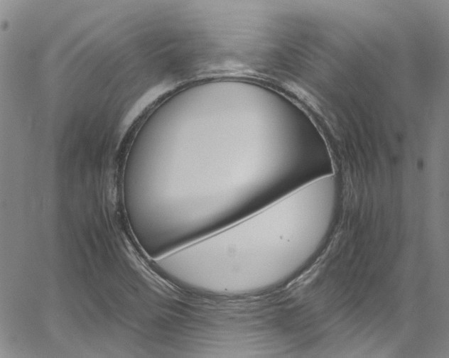 X0000064751458200602100946