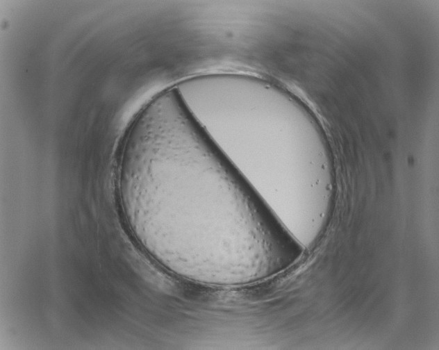 X0000064751463200602100946