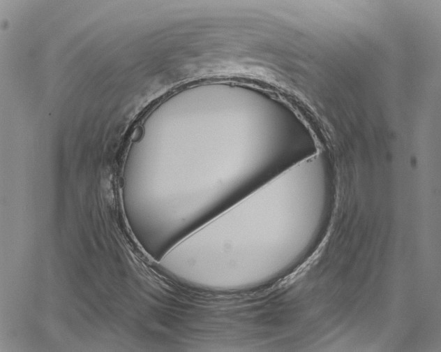 X0000064751497200602100945