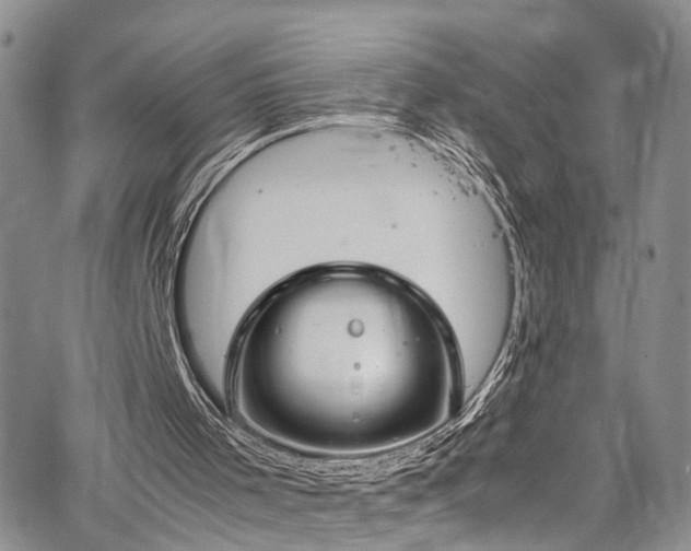 X0000064750001200602101224