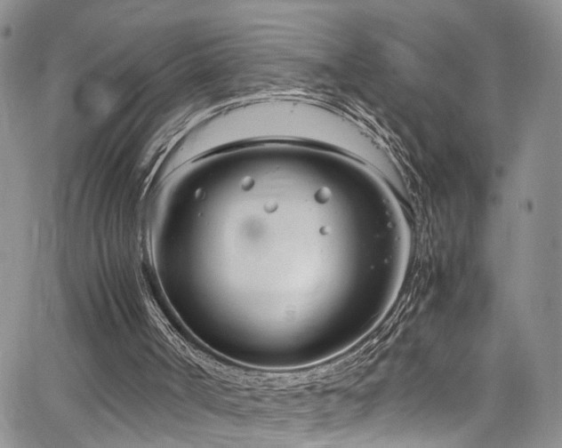 X0000064750002200602101224