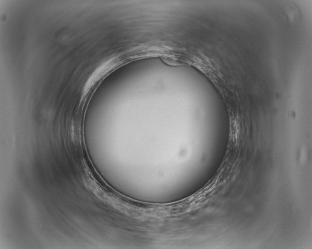 X0000064750004200602101224