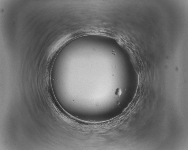 X0000064750005200602101224