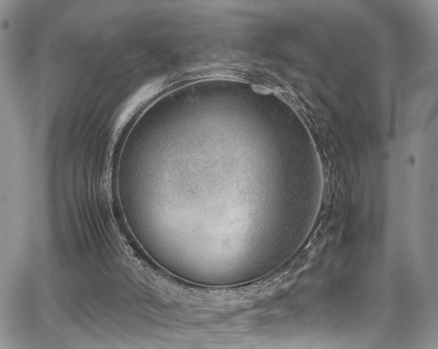 X0000064750006200602101224