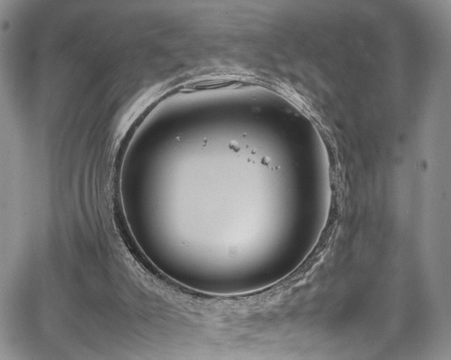 X0000064750007200602101224