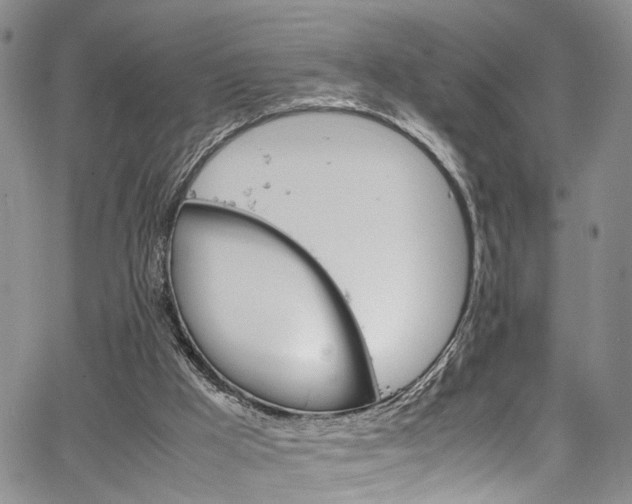 X0000064750009200602101224