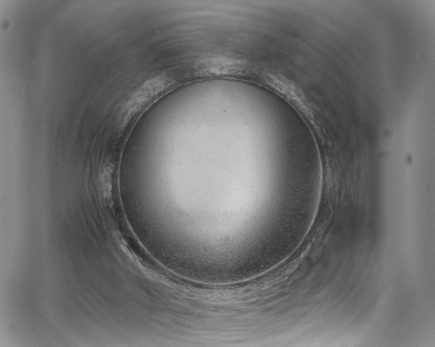 X0000064750010200602101224