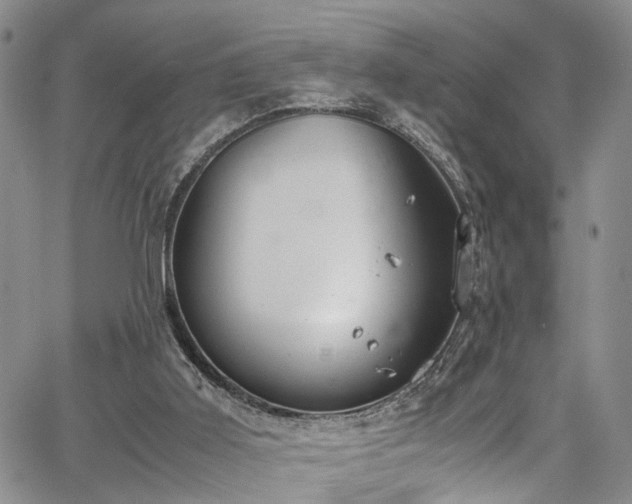 X0000064750011200602101224