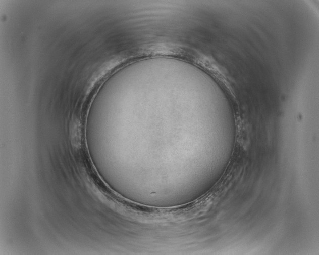 X0000064750012200602101224