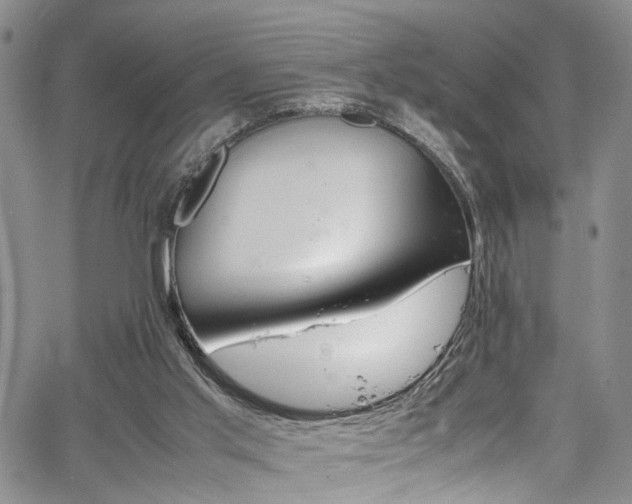 X0000064750013200602101224