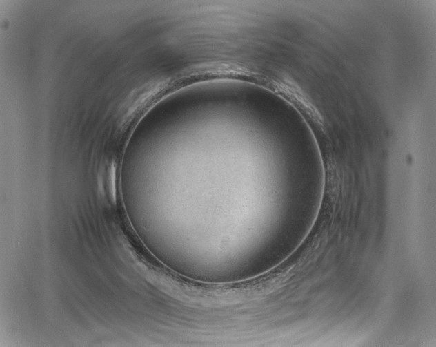 X0000064750014200602101224