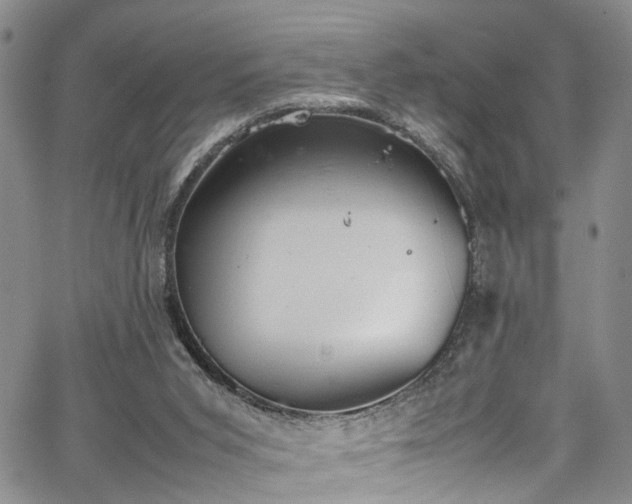 X0000064750015200602101224