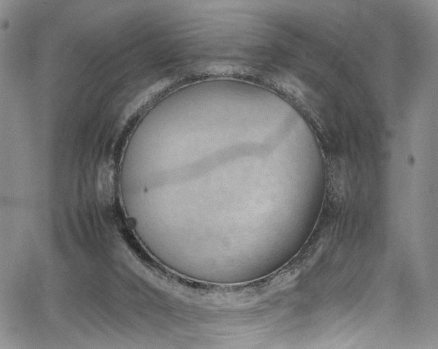 X0000064750016200602101224