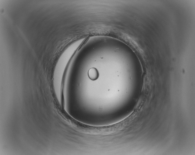 X0000064750017200602101224