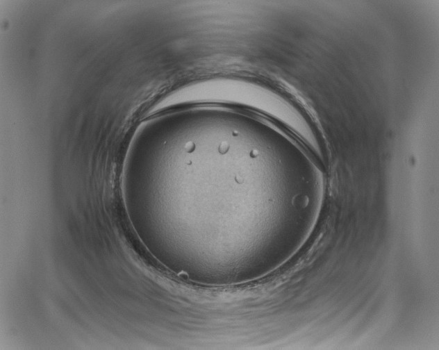 X0000064750018200602101224