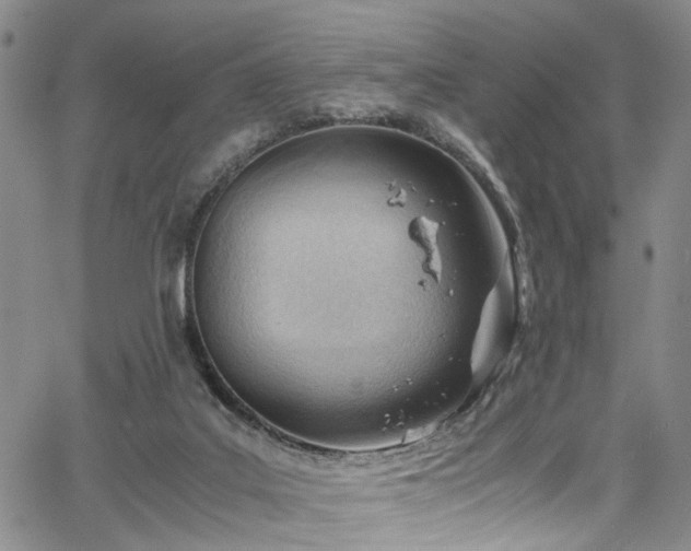 X0000064750019200602101224