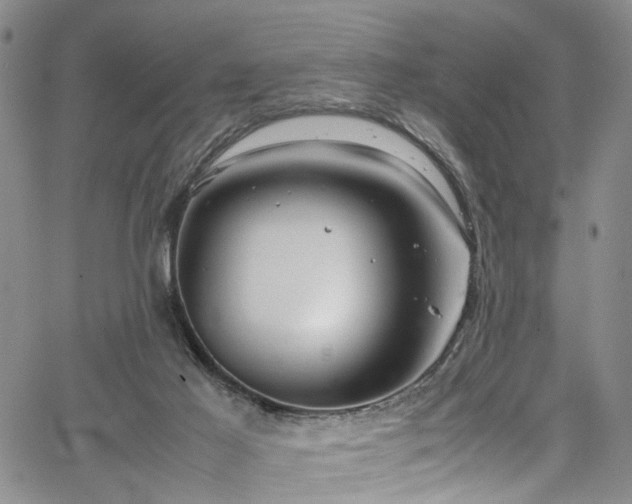 X0000064750021200602101224