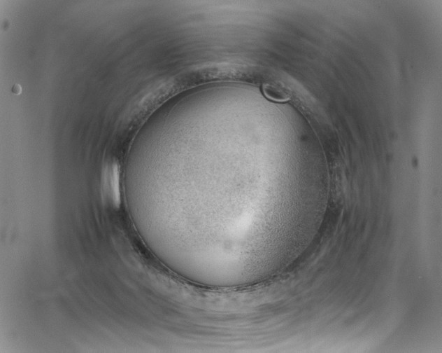 X0000064750022200602101224