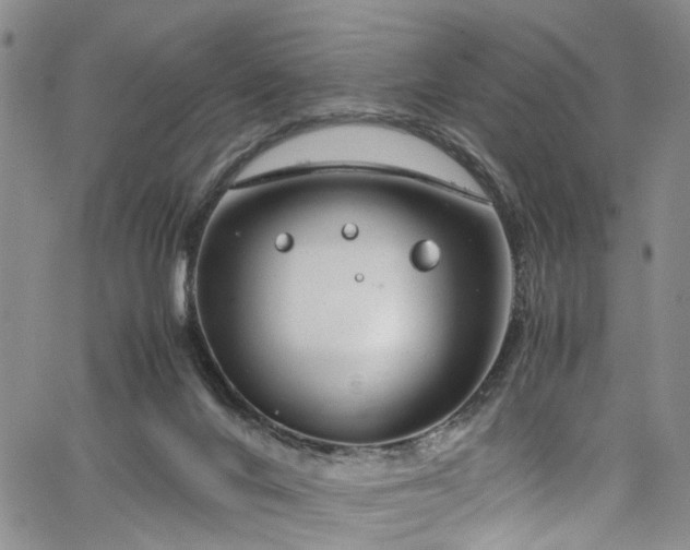 X0000064750024200602101224