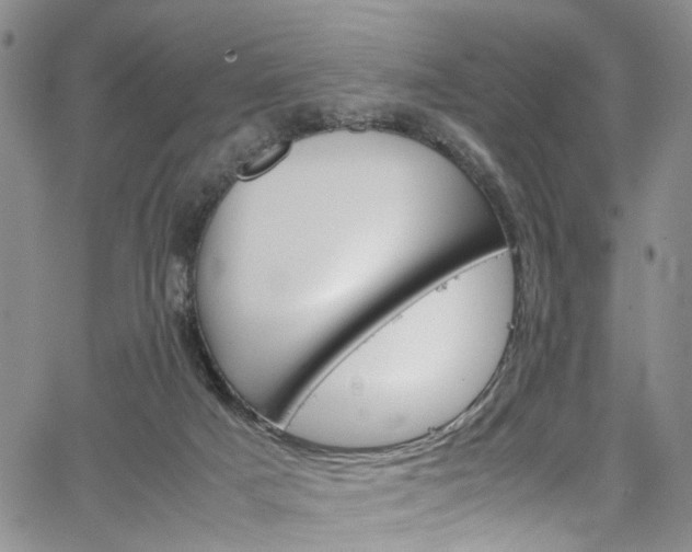 X0000064750025200602101224