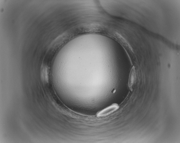 X0000064750026200602101224