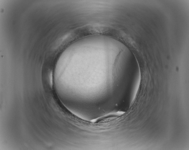 X0000064750027200602101224