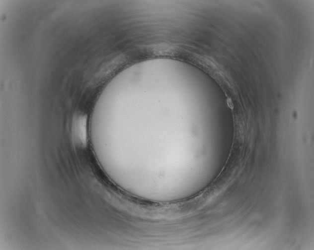 X0000064750028200602101224