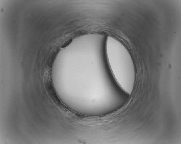 X0000064750029200602101224