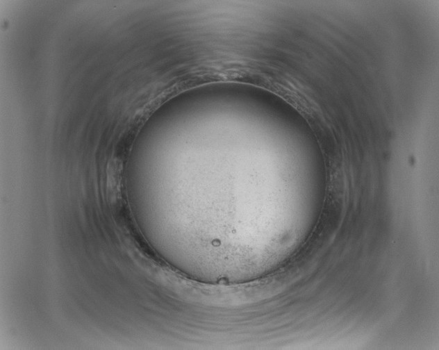 X0000064750030200602101224