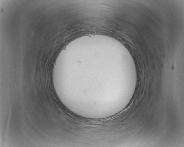 X0000064750033200602101224