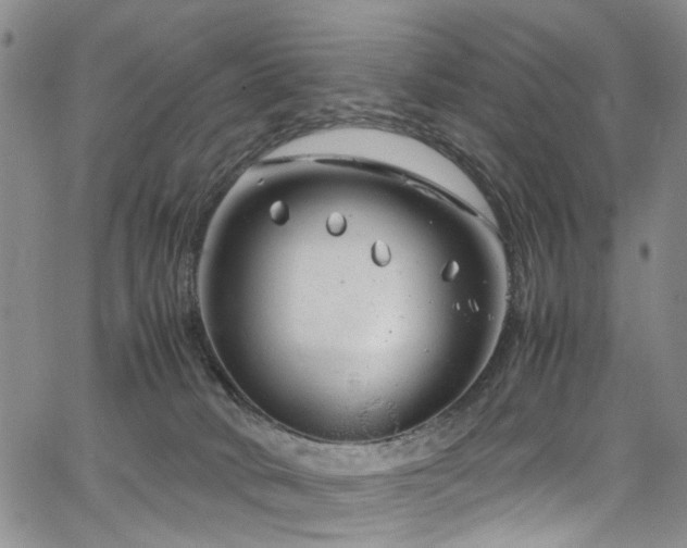 X0000064750034200602101224