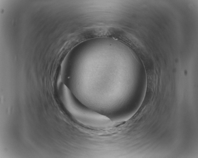 X0000064750035200602101224