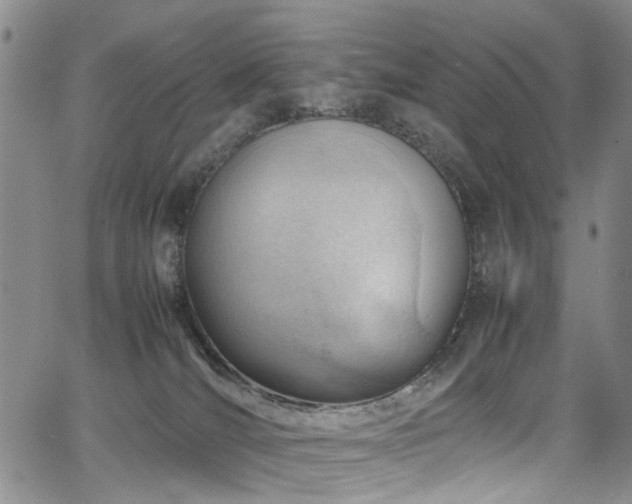 X0000064750036200602101224