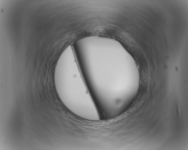 X0000064750037200602101224