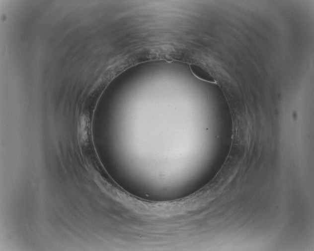 X0000064750038200602101224