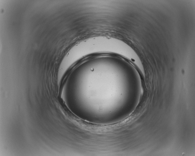 X0000064750040200602101224