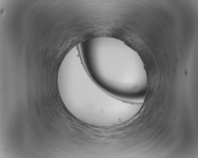 X0000064750041200602101224