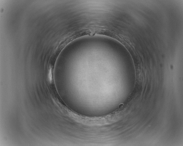 X0000064750042200602101224