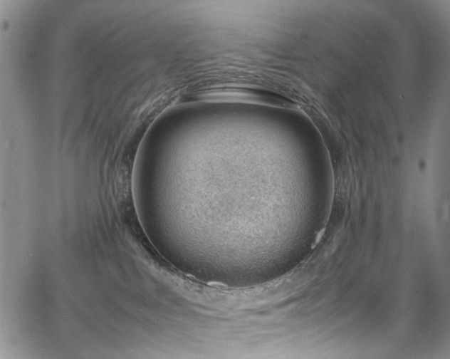 X0000064750043200602101224