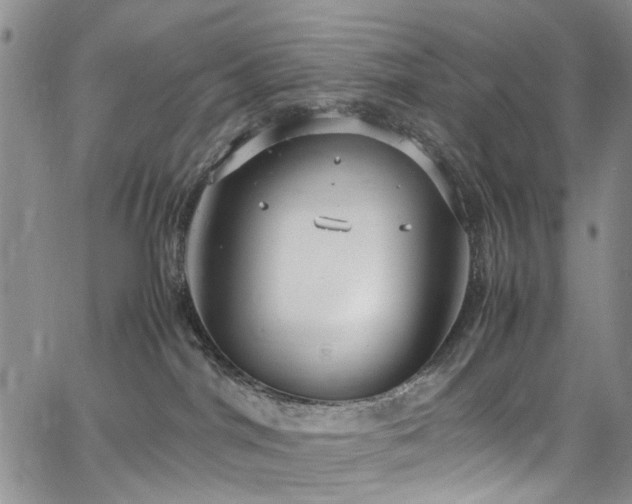 X0000064750044200602101224