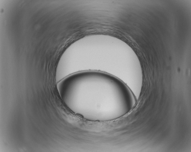 X0000064750045200602101224