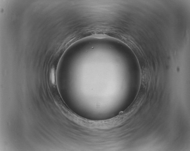 X0000064750046200602101224