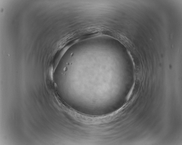 X0000064750047200602101224