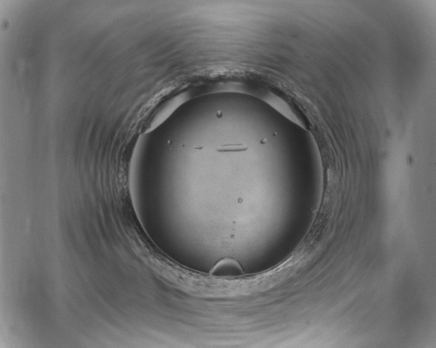 X0000064750048200602101224