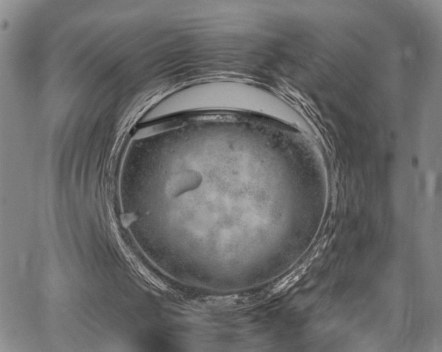 X0000064750049200602101223