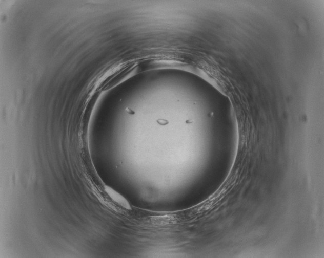 X0000064750050200602101223