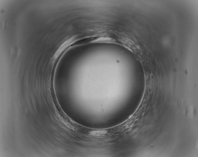 X0000064750051200602101223